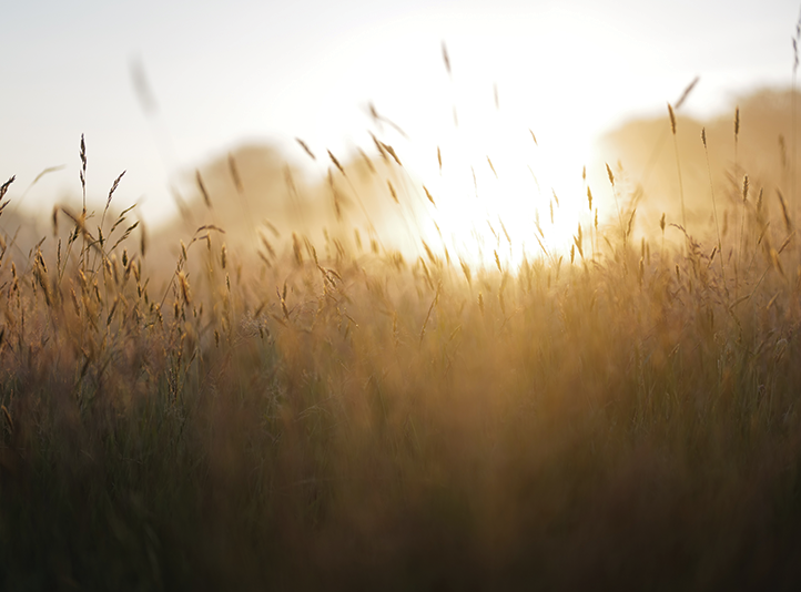 Raising Awareness: Textile Waste and the Antibacterial Solution