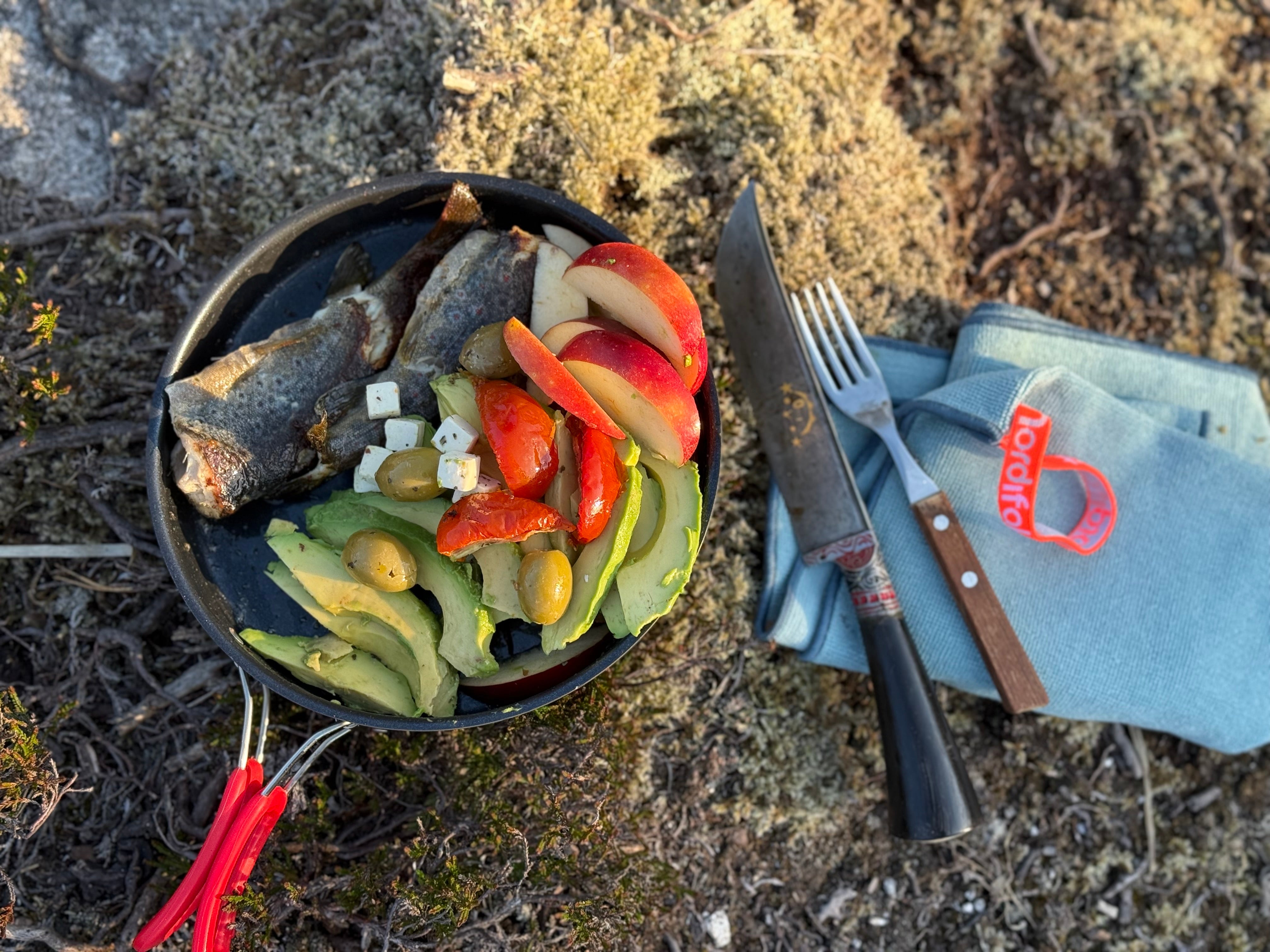 Shelter-tur - tips og tricks, steder, pakkelister til turen