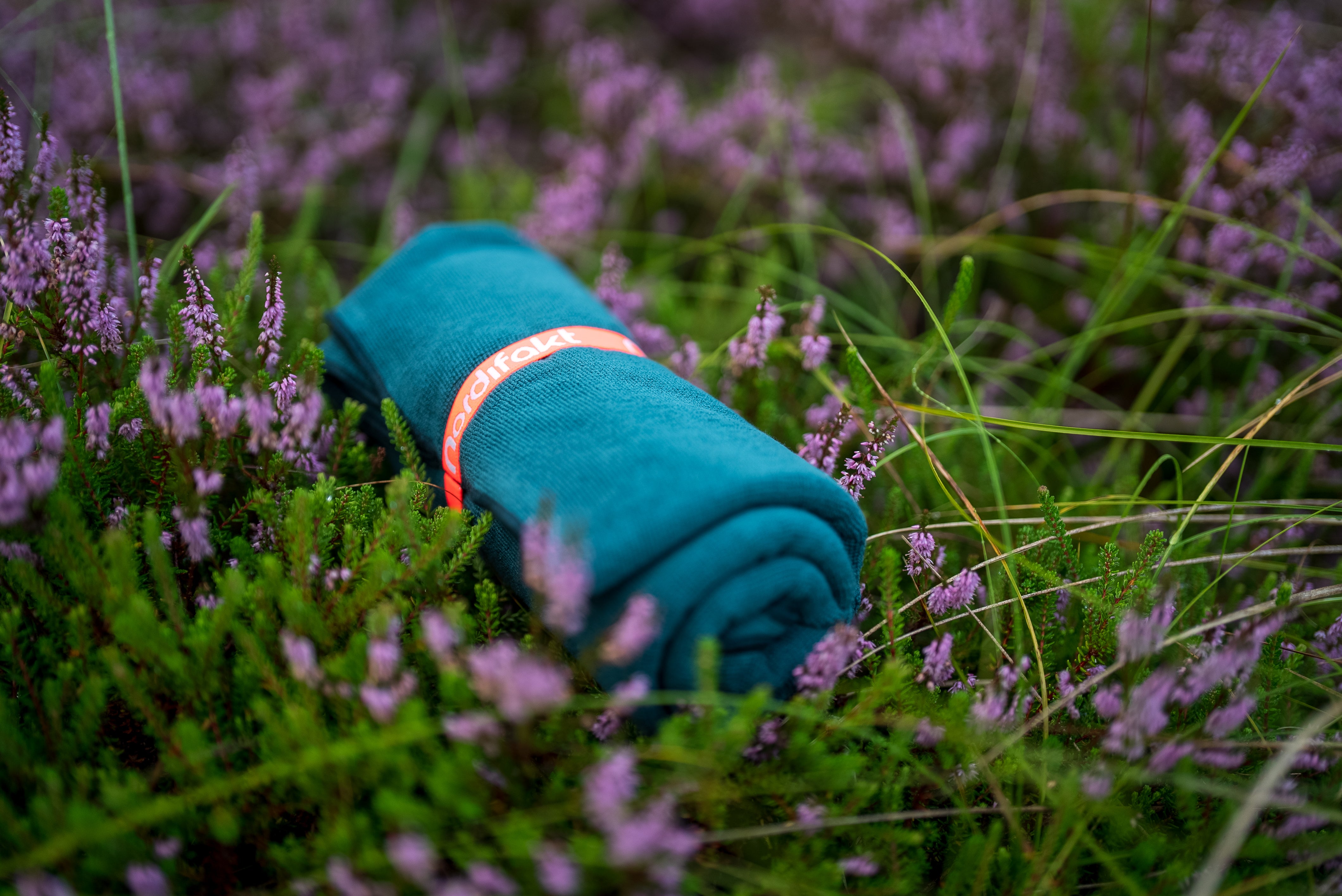 Thy Nationalpark - Få de bedste ruter, tips og pakkeliste