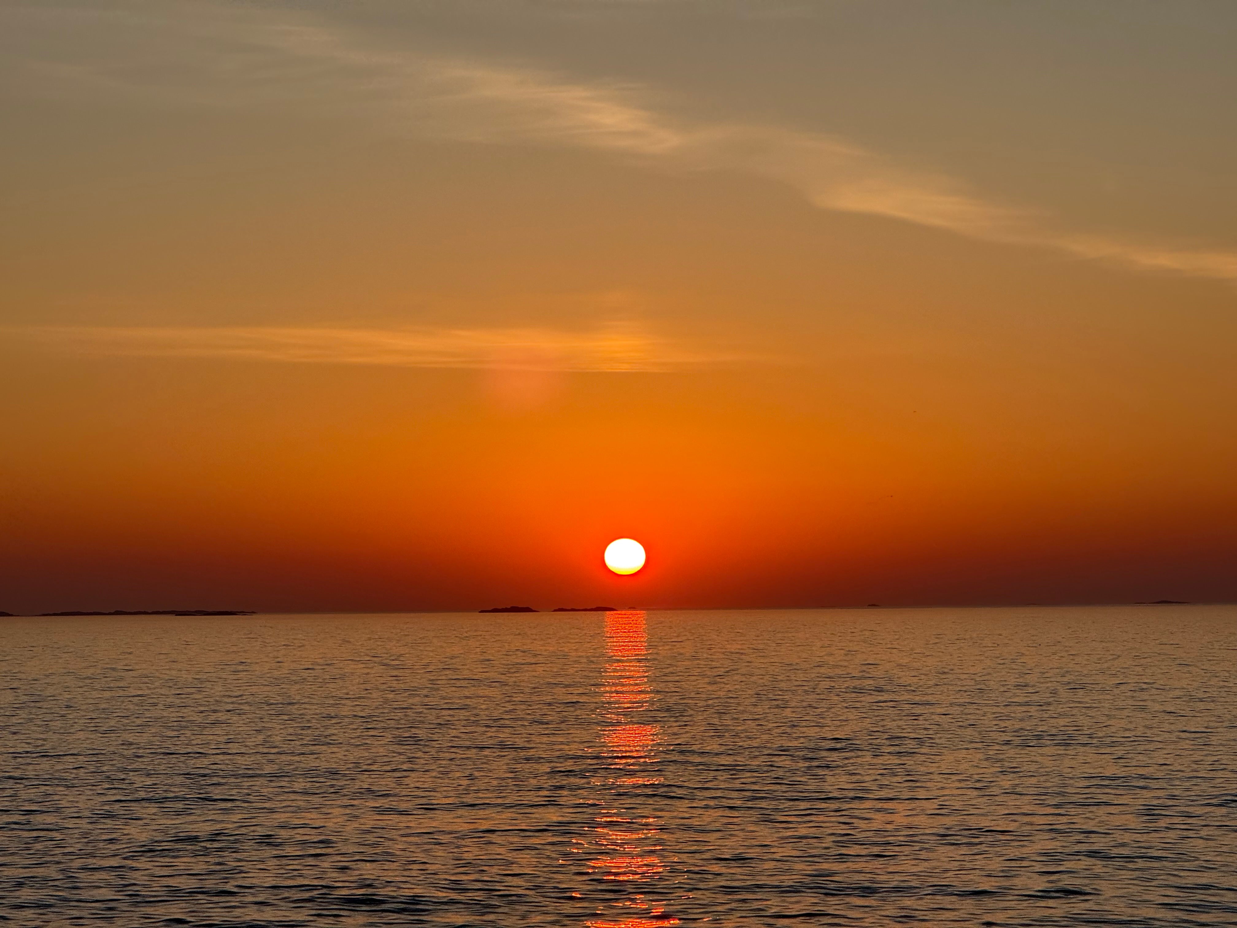 Drikkeflaske - se fordele ved stål, BPA-fri og isoleret